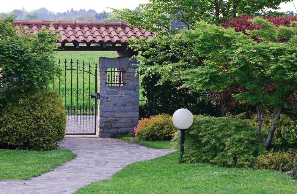 5 Small Trees That Make A Big Impact In Your Landscape