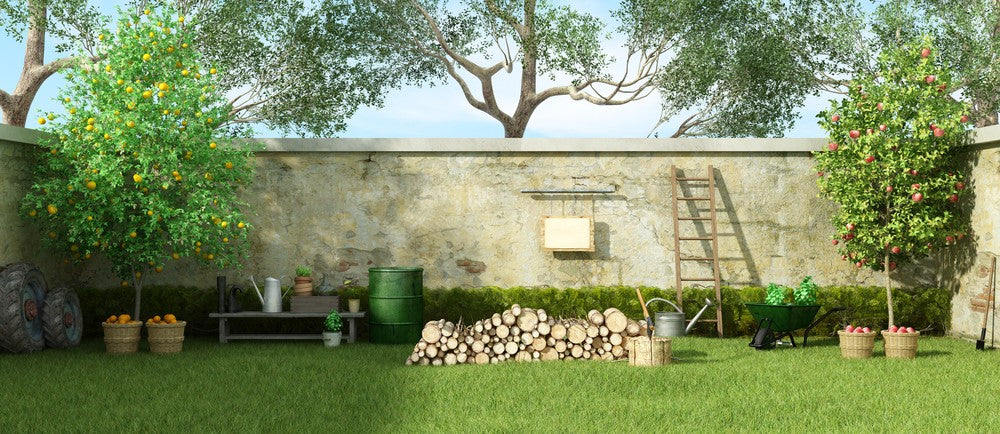 A Step-By-Step Guide To Planting Fruit Trees