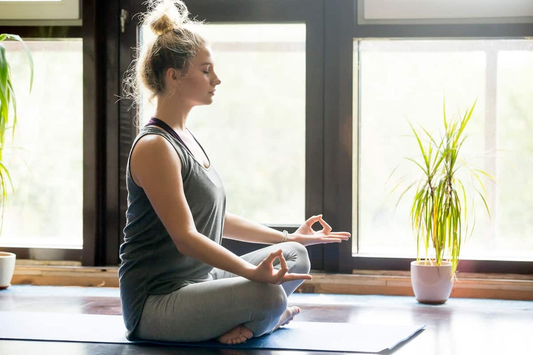 Bring the Outside In: The Benefits of Adding Indoor Plants to Your Home