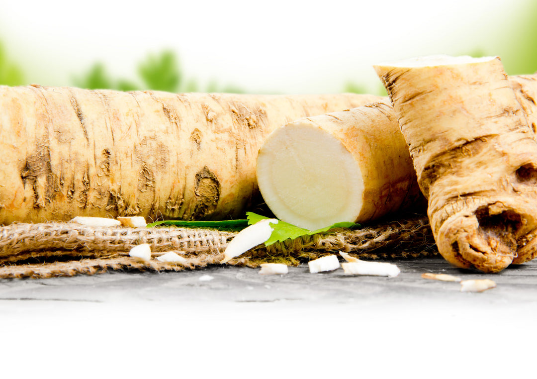 Health Benefits of Horseradish