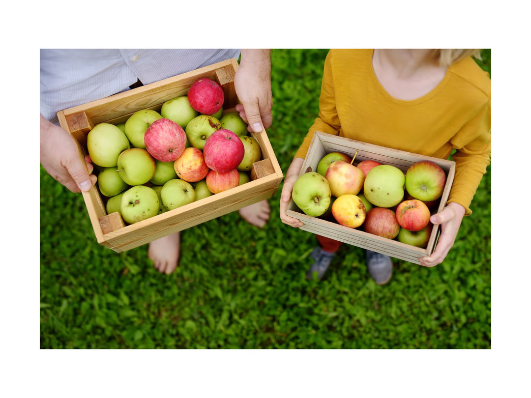 Embracing Tradition: Homemade Old Fashioned Apple Delights for a Cozy Family Fall Recipe