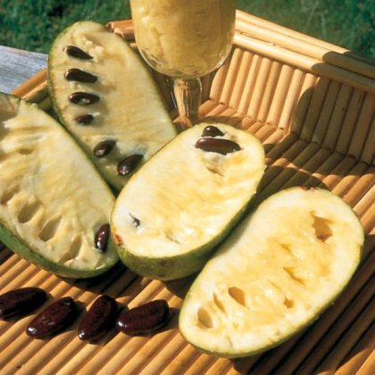 Spicy Autumn Pawpaw Cake Recipe