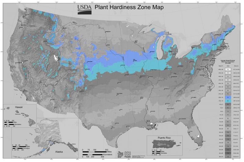 Trees for Zone 5