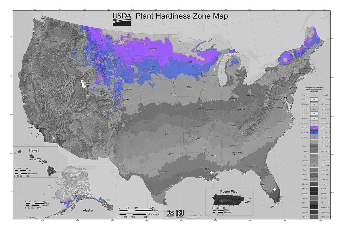 Trees for Zone 4