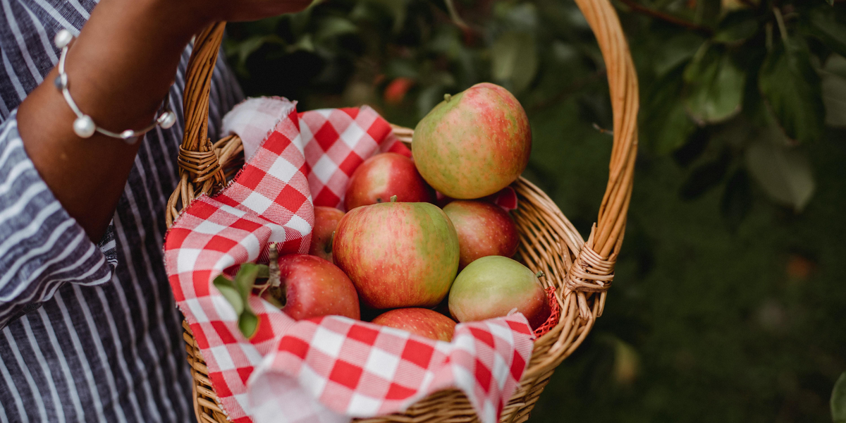 Summer Harvest