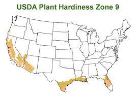 Shrubs for Zone 9