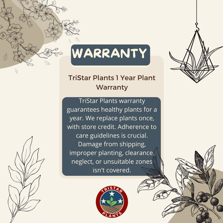TriStar Plants - One Year Warranty